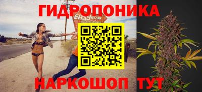 гидра Тара